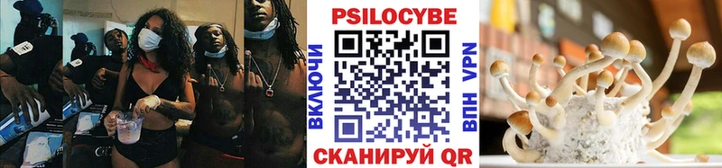 Псилоцибиновые грибы Psilocybine cubensis  Гай 